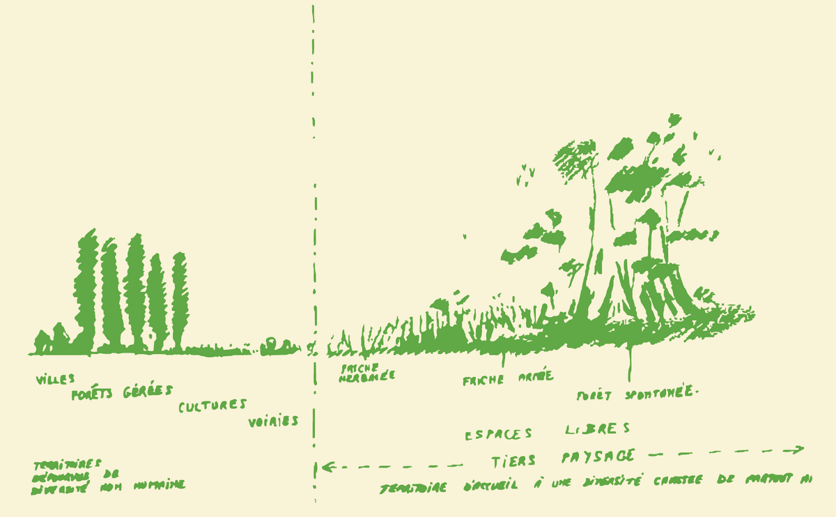 Pensando la relación entre naturaleza, ciudad y acción humana